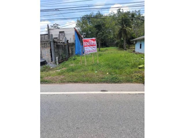 ขายที่ดินเปล่า1 งาน 55 ตารางวา อ.เวียงสระ จ.สุราษฎร์ธานีใกล้เทศบาลตำบลทุ่งหลวง  350 เมตร