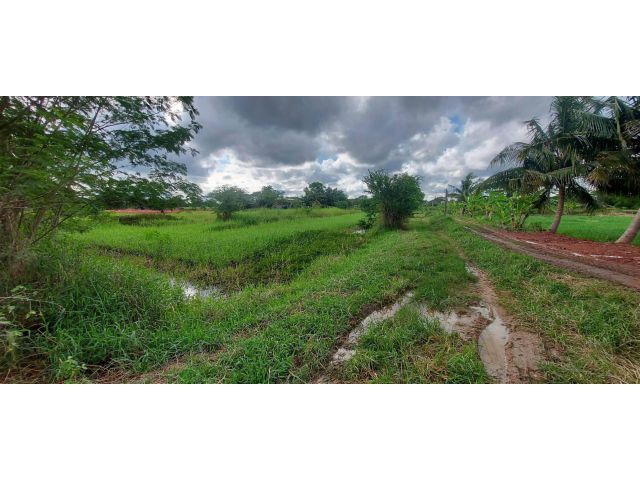 L1313 ขายที่ดินทำเลดี 10 ไร่ เมืองนครราชสีมา