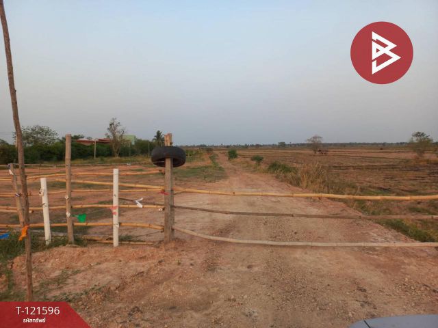 ขายที่ดินสวย เนื้อที่ 9 ไร่ 2 งาน 63 ตารางวา อ.บำเหน็จณรงค์ ชัยภูมิ ทำเลดี