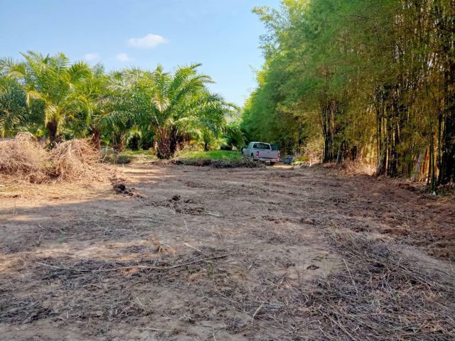 ที่ดินงบไม่ถึงล้าน อ.ภูเรือ 2 งาน 31 ตรว ติดเขตเทศบาล มีเพื่อนบ้าน ไฟต่อได้ 700000 เจ้าของขายเอง