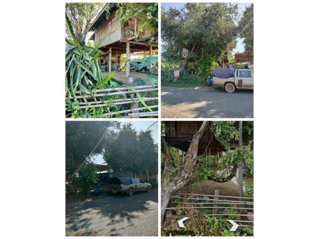 ขายด่วน! (บ้าน 2 ชั้น/ใต้ถุนโล่ง) พร้อมที่ดิน ติดถนนดำ อำเภอลาดยาว นครสวรรค์ โทร 092-6869618