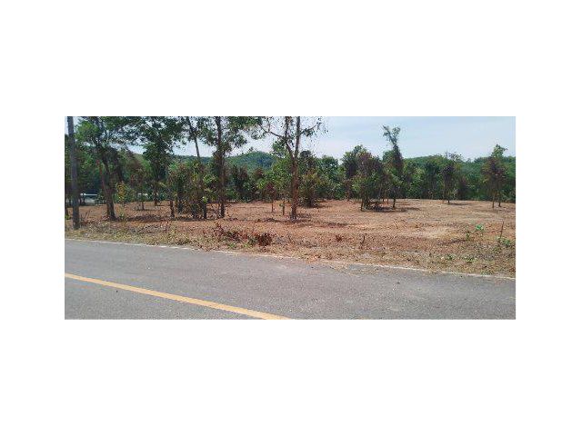 ขายที่ดิน 11 ไร่ ใกล้ทะเล ต.คลองเคียน อ.ตะกั่วทุ่ง จ.พังงา