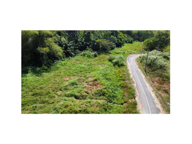 ขายที่ดิน 1 ไร่ ติดถนนน้ำตกโตนไทร ต.เทพกระษัตรี อ.ถลาง จ.ภูเก็ต