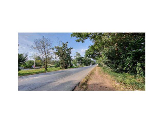 ขายที่ดิน 10 ไร่ ติดถนน 304 ต.ภูหลวง อ.ปักธงชัย จ.นครราชสีมา