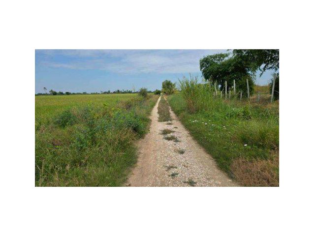 ขายที่ดิน 12 ไร่ ต.วัดพริก อ.เมือง จ.พิษณุโลก