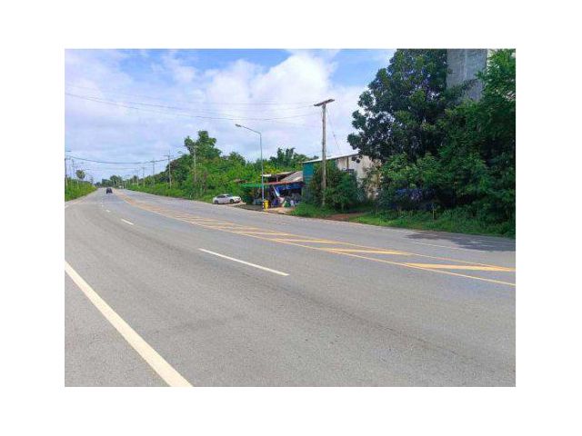ขายที่ดิน 17 ไร่ ติดถนน 4 เลน ต.บ้านเชี่ยน อ.หันคา จ.ชัยนาท