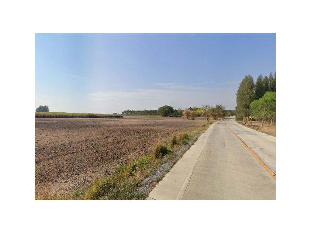 ขายที่ดิน 113 ไร่ ติดถนนหนองเกตุ-บ่อกวางทอง ต.บ่อกวางทอง อ.บ่อทอง จ.ชลบุรี