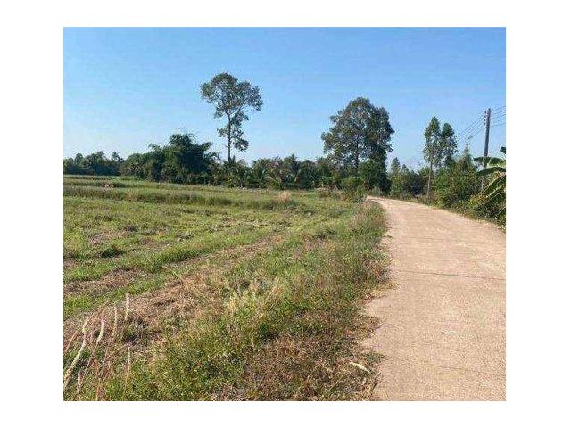 ขายที่ดิน 7 ไร่ ต.หนองโพรง อ.ศรีมหาโพธิ จ.ปราจีนบุรี