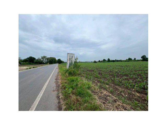 ขายที่ดิน 30 ไร่ ติดถนน4020 ต.คำพราน อ.วังม่วง จ.สระบุรี