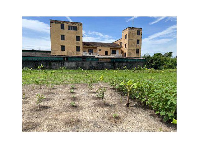 ขายที่ดิน 2 ไร่ ซอยอัศวพิเชษฐ์10 ใกล้ถนนกาญจนาภิเษก แขวงฉิมพลี เขตตลิ่งชัน กรุงเทพมหานคร