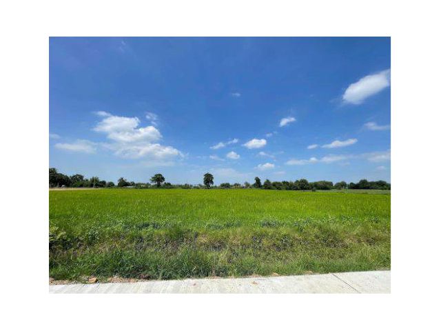 ขายที่ดิน 7 ไร่ ต.หนองแขม อ.หนองแค จ.สระบุรี