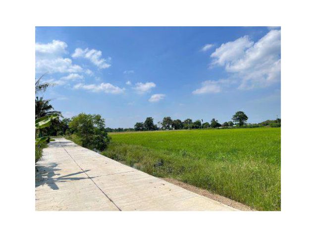 ขายที่ดิน 4 ไร่ ต.หนองแขม อ.หนองแค จ.สระบุรี