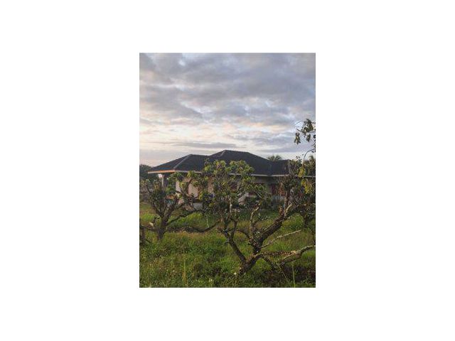 ขายบ้านเดี่ยวชั้นเดียว พร้อมที่ดิน 1 ไร่ ต.สันมหาพน อ.แม่แตง จ.เชียงใหม่