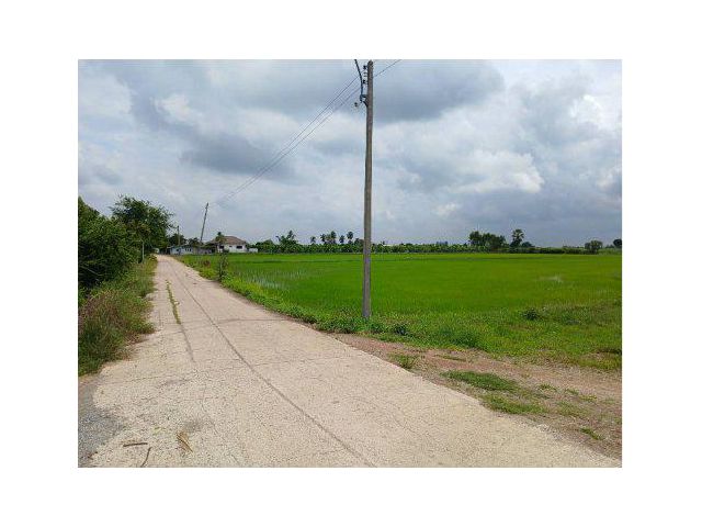 ขายที่ดิน 11 ไร่ ต.ท่าตะคร้อ อ.ท่าม่วง จ.กาญจนบุรี