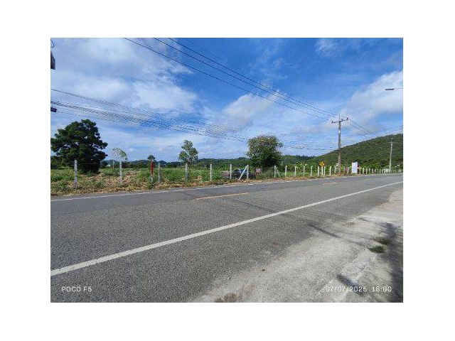 ขายที่ดิน 15 ไร่ ต.พลูตาหลวง อ.สัตหีบ จ.ชลบุรี