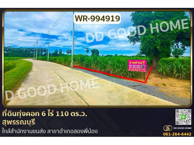 WR-994919 ที่ดินทุ่งคอก 6 ไร่ 110 ตร.ว. สุพรรณบุรี ใกล้สำนักงานขนส่ง สาขาอำเภอสองพี่น้อง
