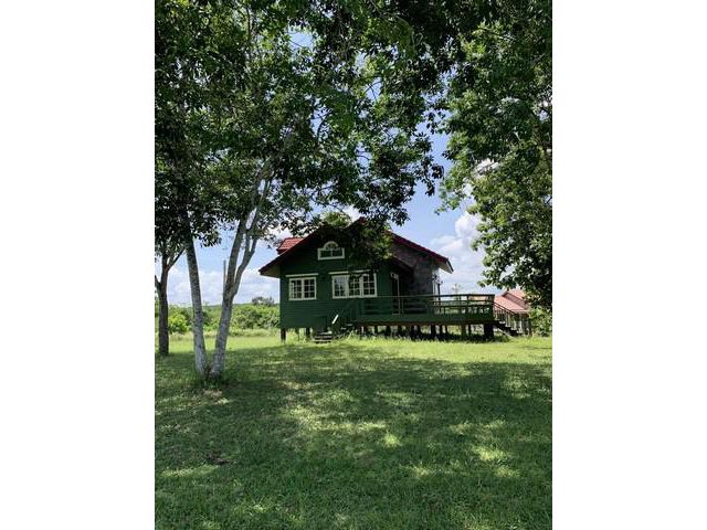 ขายบ้านเดี่ยวบนพื้นที่ 600 ตรวา ร่มรื่น น่าอยู่