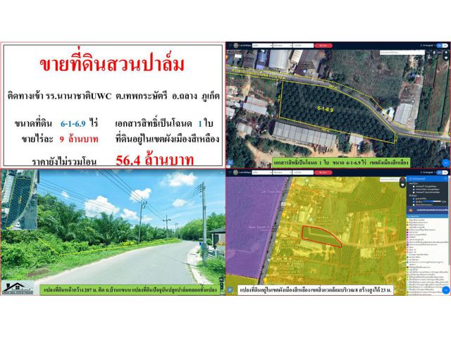 ขายที่ดินสวนปาล์ม ขนาด 6-1-6.9 ไร่  ติดทางเข้า รร.นานาชาติ UWC  ต.เทพกระษัตรี  อ.ถลาง  ภูเก็ต