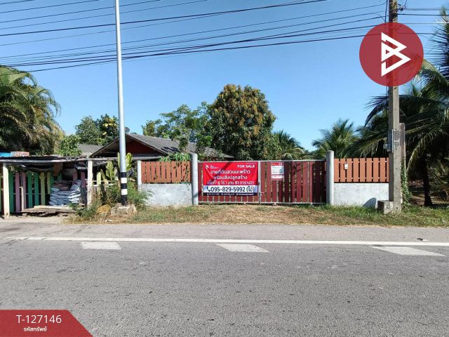 ขายที่ดินสวนมะพร้าว เนื้อที่ 6 ไร่ 1 งาน 81 ตารางวา ต.นางตะเคียน สมุทรสงคราม ติดถนนหลัก