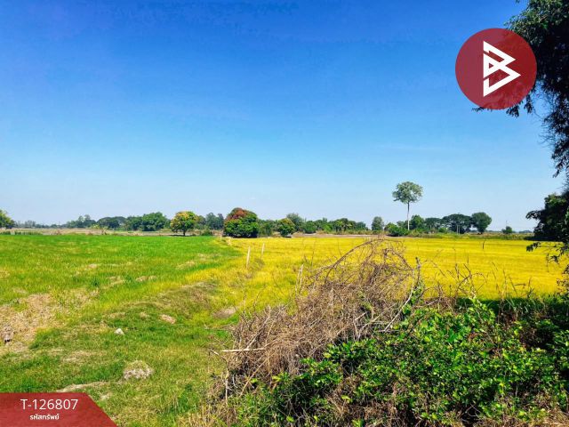 ขายที่ดิน เนื้อที่ 1 ไร่ 3งาน 47 ตร.วา หนองขาหย่าง อุทัยธานี