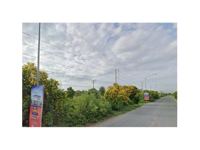 ขายที่ดิน 13 ไร่ ติดถนนสายเอเซีย ต.บ้านกรด อ.บางปะอิน จ.พระนครศรีอยุธยา