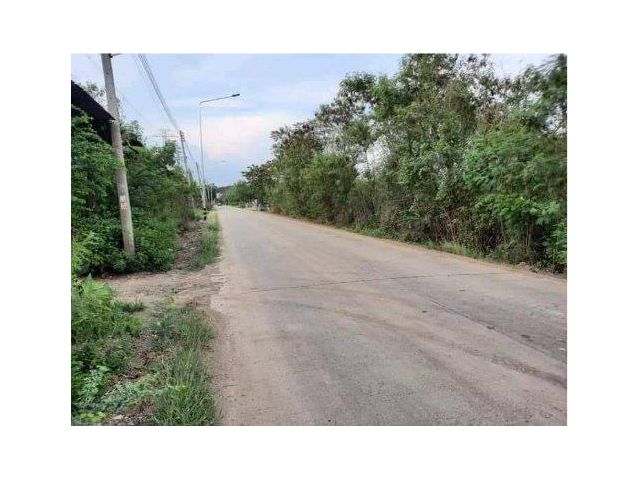 ขายที่ดิน 13 ไร่ คลองแปด ซอยลำลูกกา151 ต.ลำลูกกา อ.ลำลูกกา จ.ปทุมธานี