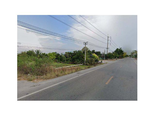 ขายที่ดิน 11 ไร่ ต.ราษฎร์นิยม อ.ไทรน้อย จ.นนทบุรี