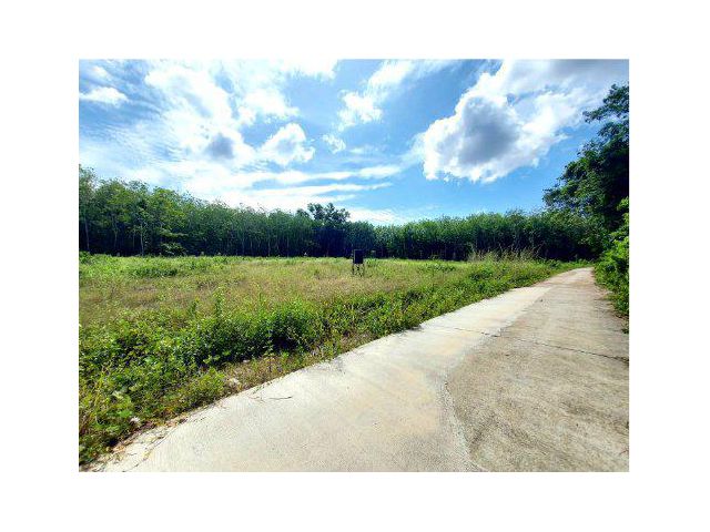 ขายที่ดิน 5 ไร่ ใกล้สนามชนโคนานาชาติ ต.ควนรู อ.รัตภูมิ จ.สงขลา