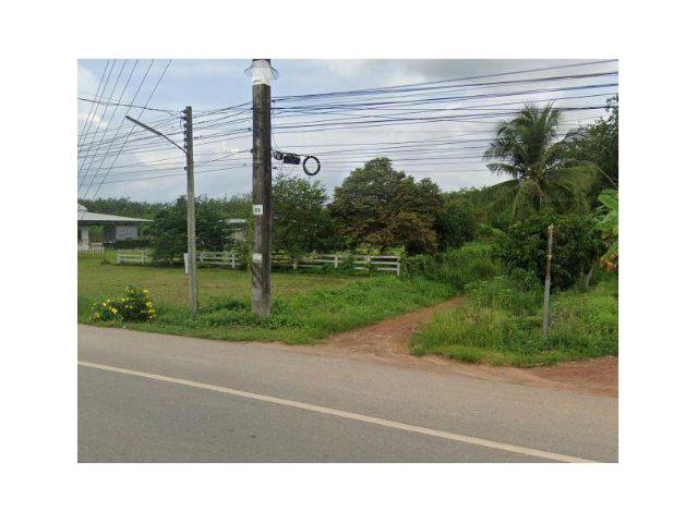 ขายที่ดิน 62 ไร่ ใกล้โรงพยาบาลวังจันทร์ ต.ชุมแสง อ.วังจันทร์ จ.ระยอง