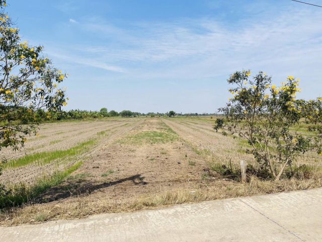 ขายที่ดินท่าไข่ 8 ไร่ ติดถนนคอนกรีต ใกล้ถนนวงแหวนเส้นตัดใหม่เส้น304(แยกสตาร์ไลท์-4กม.) อ.เมืองฉะเชิงเทรา