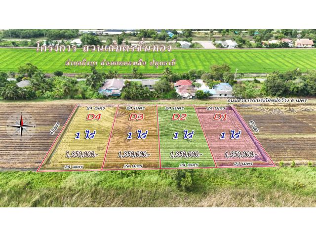 ขายที่ดินราคาถูก️ แนวบ้านสวน ราคาแบ่งปัน  #ที่ดินแบ่งขาย #ราคาเจ้าของขายเอง เหมาะทำบ้านสวน  รีสอร์ท โฉนดครุฑแดง