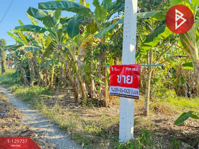 ขายที่ดิน เนื้อที่ 2 งาน 76.3 ตร.วา สารภี เชียงใหม่