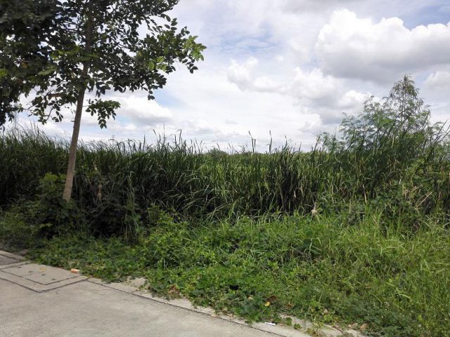 ขายที่ดินสวย ทำเลดี 7 ไร่ 17 ตร.วา  พร้อมโอน