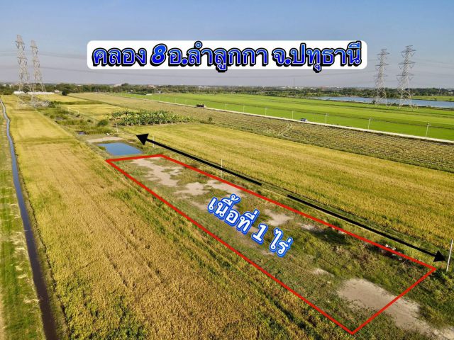 คลอง 8 ลำลูกกา ปทุมธานี ️ห้ามพลาด ที่สวย ทำเลดี ️   เนื้อที่ 1 ไร่ 1.6 ล้านบาท มี 2 แปลงเท่านั้น  รายละเอียดที่ดิน  แหล่