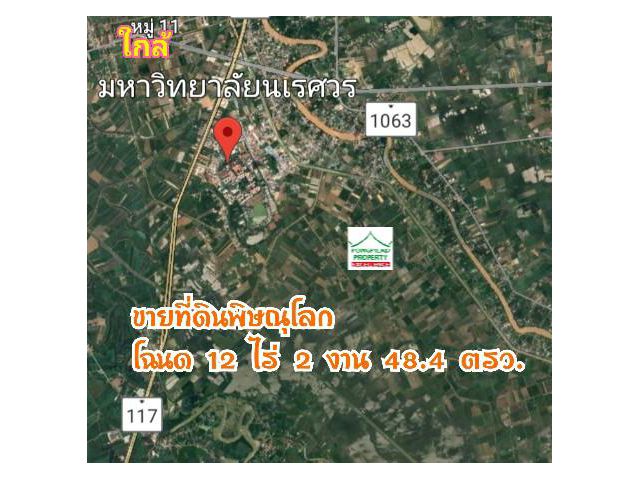 ขายที่ดินพิษณุโลก 12 ไร่ 2 งาน 48.4 ตรว.ใกล้มหาวิทยาลัยนเรศวร