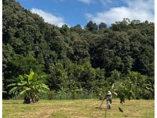 ขายที่ดินตำบลห้วยแก้วแม่ออนหน้าน้ำหลังติดลำเหมืองพร้อมโอน