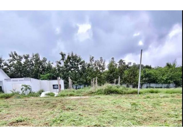 ขายที่ดินบ้านกลางห่างตลาดทุ่งเสี้ยวเพียง 600เมตร