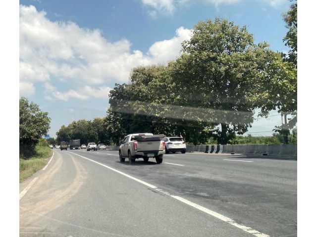 ขายที่ดิน 10 ไร่ ติดถนนสายเอเชีย พรหมบุรี 098 7755 808