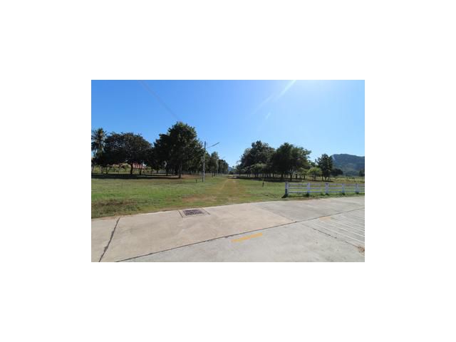 ขายที่ดิน 20 ไร่ นาจอมเทียน เขาชีจรรย์