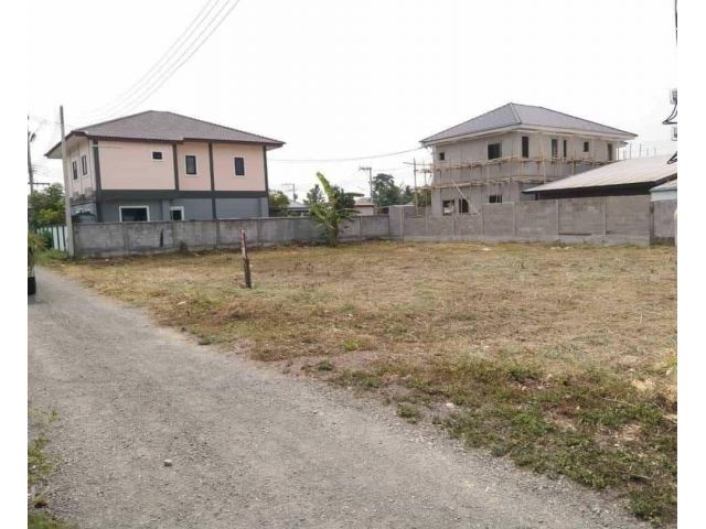 ขายที่ดินตำบลป่าไผ่สันทรายห่างมหาวิทยาลัยแม่โจ้เพียง 5 กม