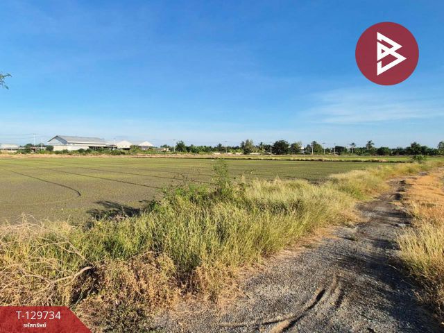 ขายที่ดิน เนื้อที่ 5 ไร่ สองพี่น้อง สุพรรณบุรี