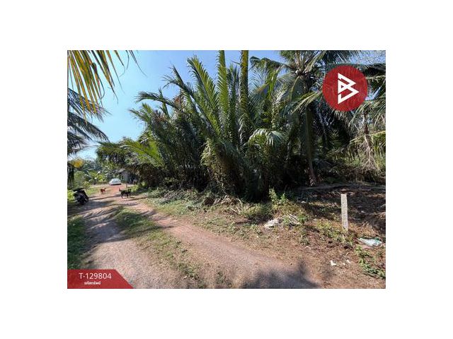 ขายที่ดิน เนื้อที่ 1 งาน 70 ตร.วา อัมพวา สมุทรสงคราม