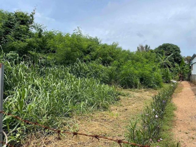 L83 ขายที่ดินเปล่า ที่ดินอยู่ฝั่งตรงข้ามประตูใหญ่ กร. มองเห็นวิวทะเล 96 ตารางวา