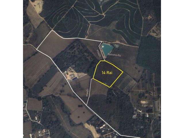 ขายที่ดินพรีเมี่ยมติด Singha Park Chiang Rai ขนาด 8 ไร่ + 6 ไร่ ( รวม 14 ไร่ ) น้ำไม่ท่วม จังหวัดเชียงราย