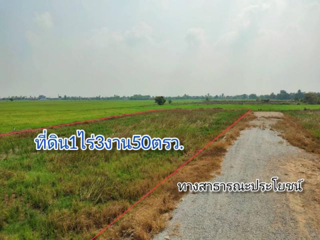 แปลงสุดท้าย ที่ดินใกล้เมือง เนื้อที่1ไร่3งาน50ตรว..