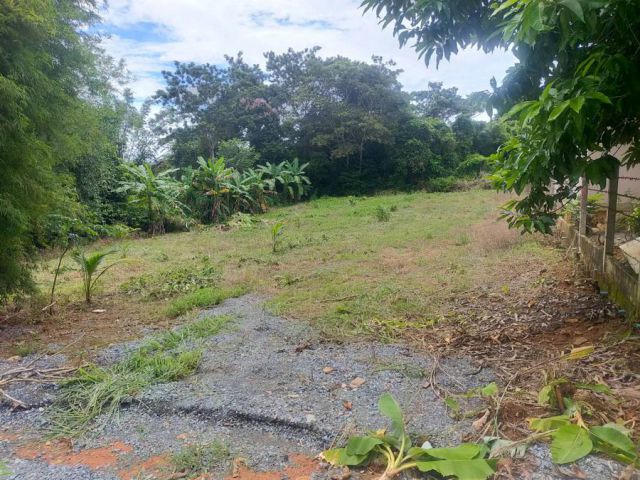 เสนอขายที่ดินแปลงเปล่า ติดถนนคอนกรีต ทำเลดีใกล้มหาลัยราชภัฏรำไพพรรณี&สี่แยกเขาไร่ยา เนื้อที่ 200 ตารางวา ตำบลท่าช้าง อำเ