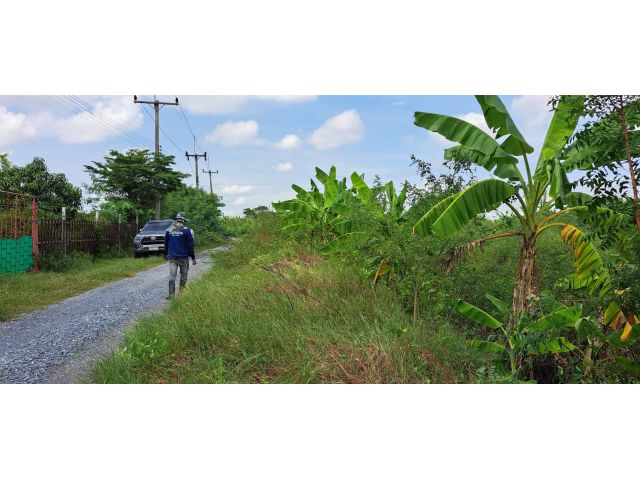 ขายที่ดิน  ซอยวัดสโมสร  200  ตรว.
