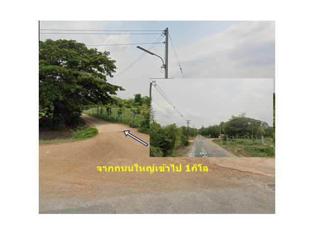 ที่ดิน8ไร่3งาน ที่ดินทำไร่อ้อยติดถนนคอนกรีต การเดินทางสะดวก