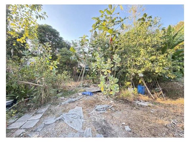 ขายที่ดินซอยไทรม้า บางรักน้อย 18 (รหัสทรัพย์ 202601) (ซ.อนามัยบางประดู่) อ.เมืองนนทบุรี จ.นนทบุรี ขนาด 70 ตรว.