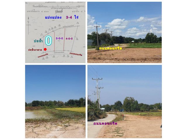 (โฉนด) แบ่งขาย 3-4 ไร่ๆละ 250,000 บ.(ทำไร่ นาสวนผสม) หน้าติดถนนคอนกรีต ไฟฟ้า น้ำประปา บ่อน้ำสระ ม.4 ต.สระกระโจม อ.ดอนเจดีย์ จ.สุพรรณบุรี